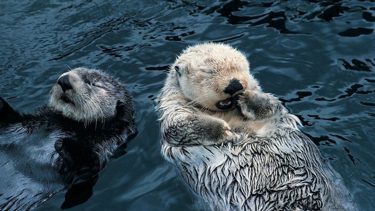 Смешные мультяшные