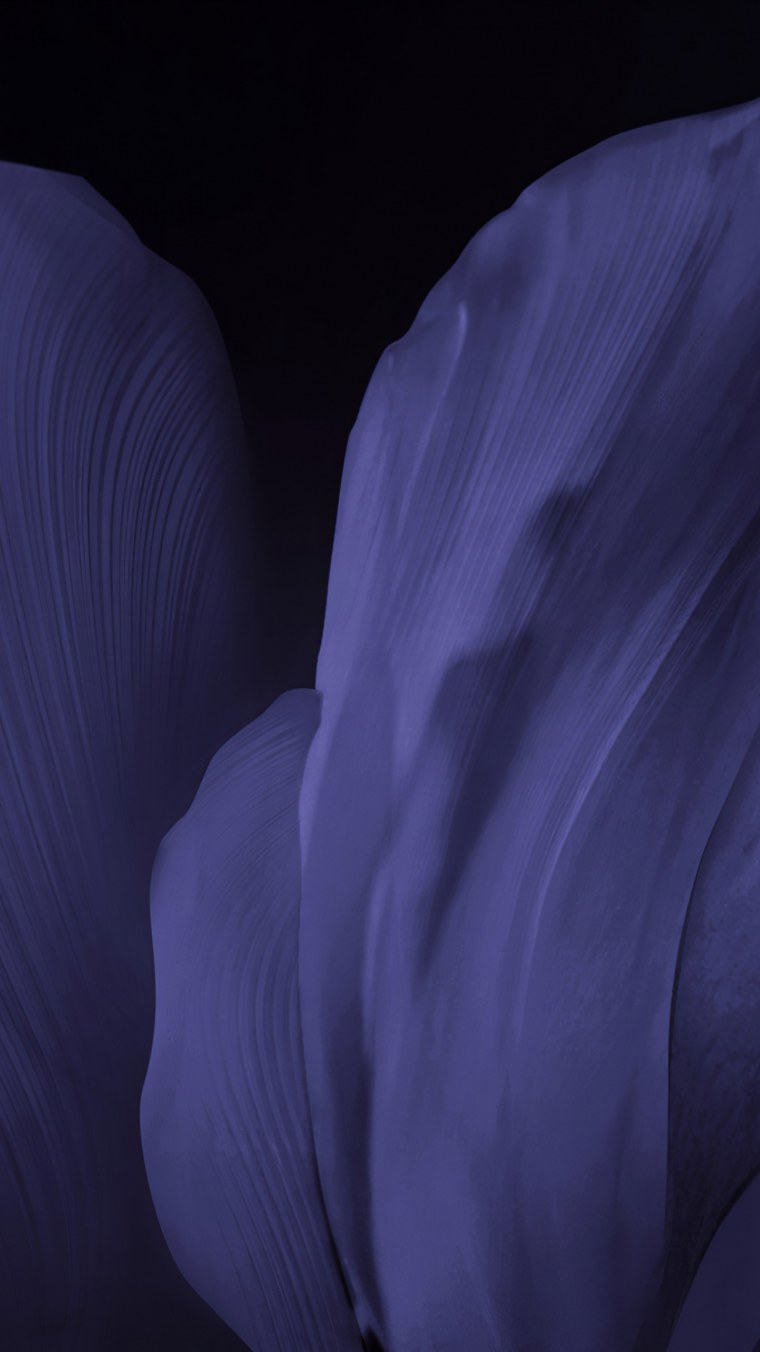 Samsung Galaxy m40 обои