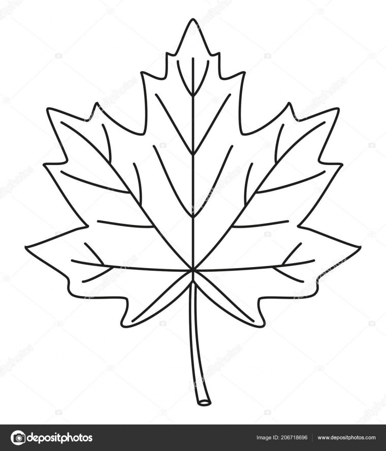 Лист клена Графика