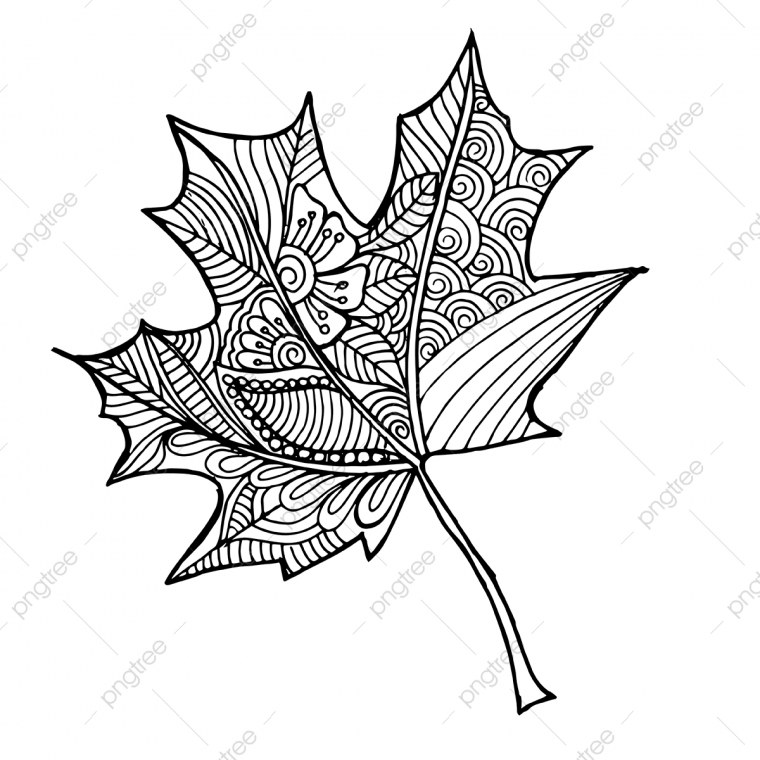 Лист клена вектор