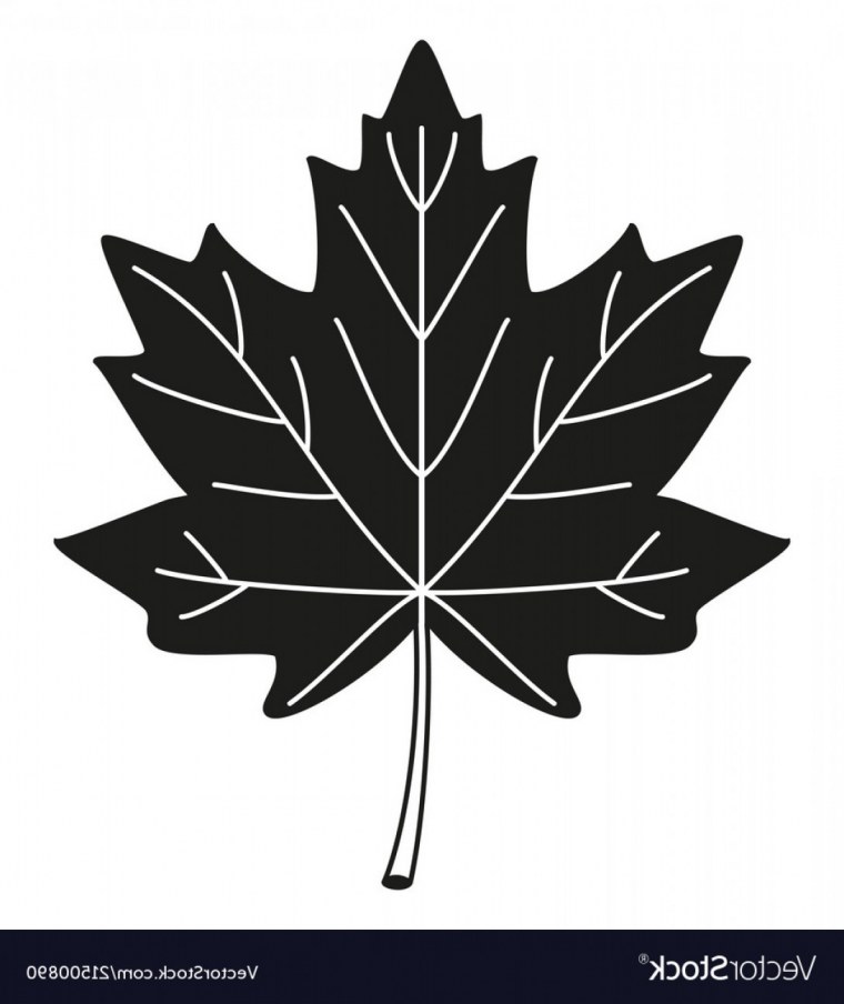 Тату кленовый лист черно белый