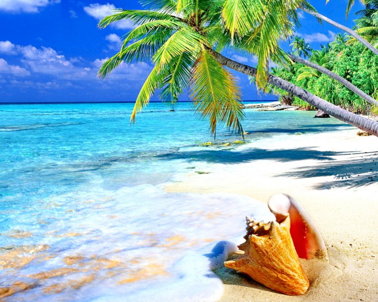 Красивые обои пляж