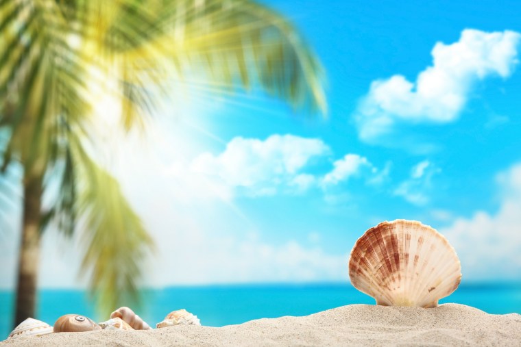 Пляж с ракушкой