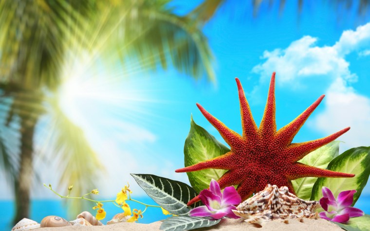 Море солнце пальмы