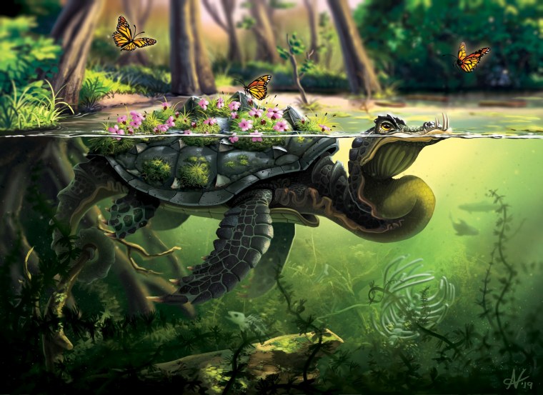 Черепахи фантастика