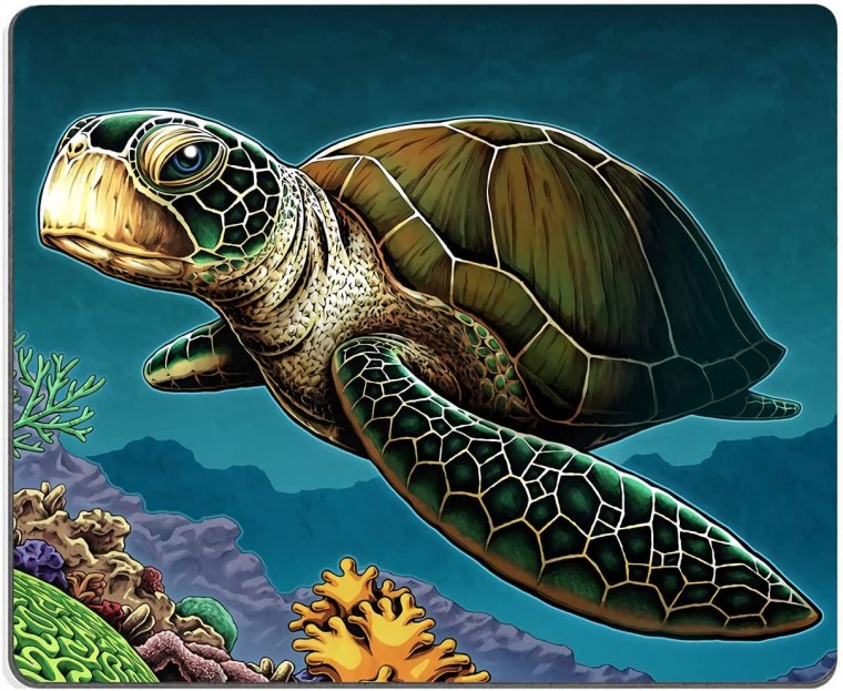 Черепашка арт