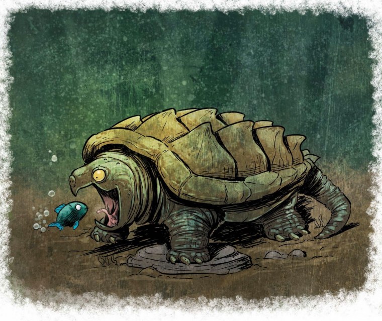 Камиль сен Санс черепахи