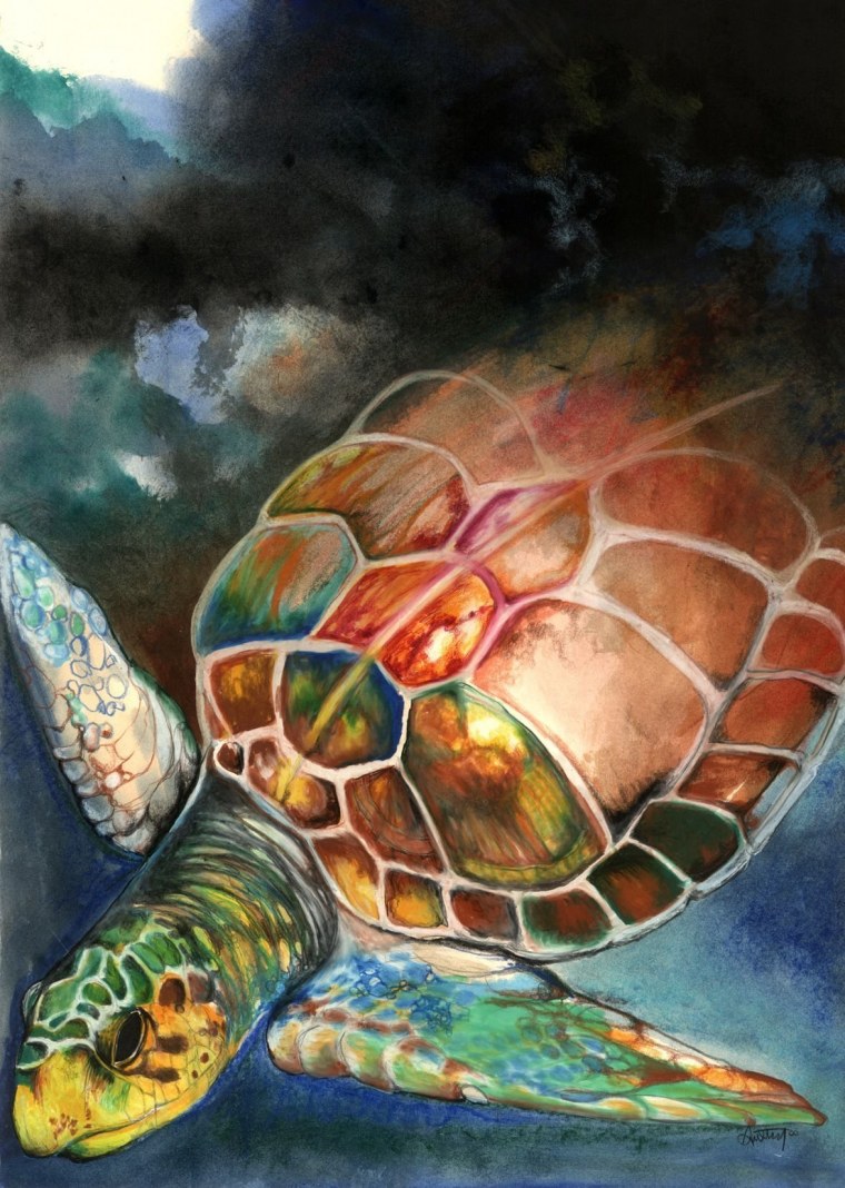 Плывущий Черепашонок арт