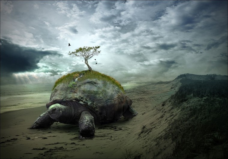 Огромная черепаха арт