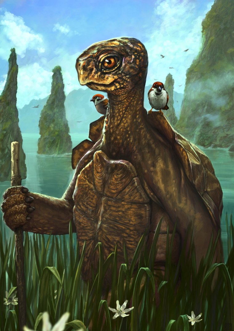 Черепаха фэнтези