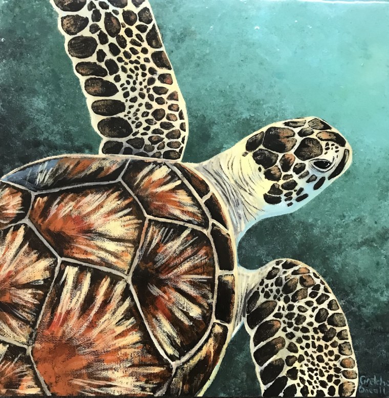 Черепаха арт