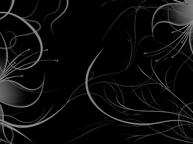 Силуэт кошки на черном фоне