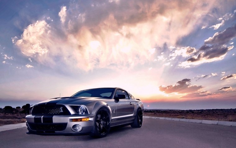 Ford Shelby gt500kr