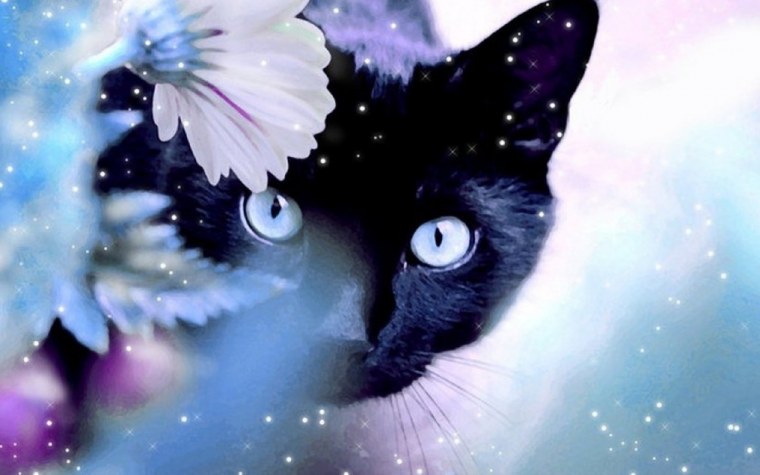 Рихард Донскис художник