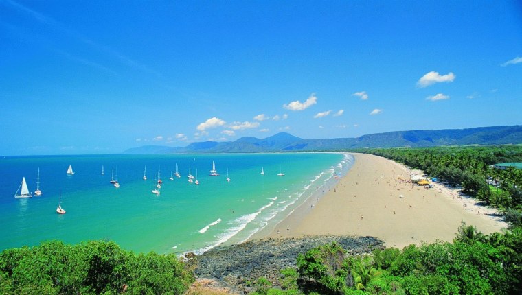 Греция остров Санторини цветы