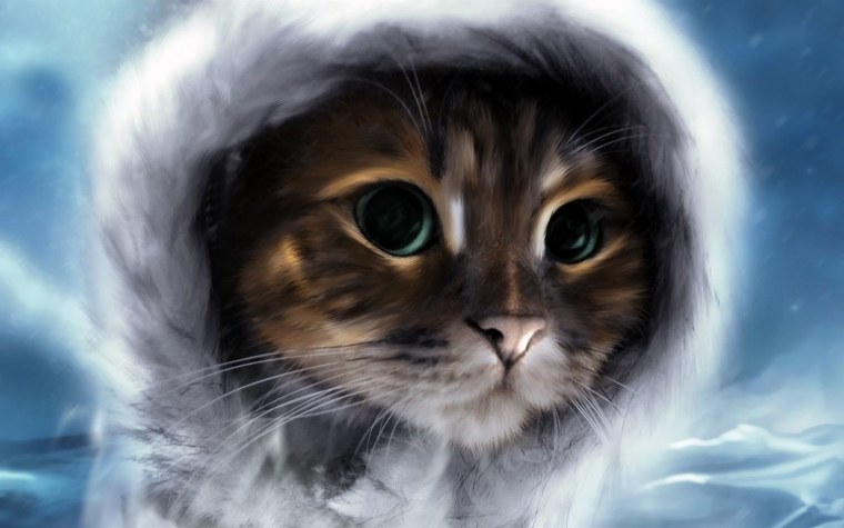 Кот в очках арт