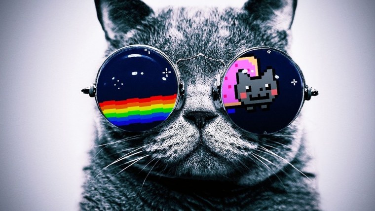 Котик с очками