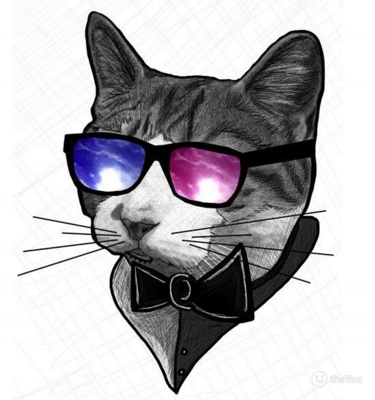 Аватар кошка