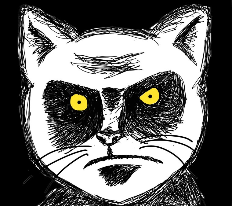 Кот в черных очках