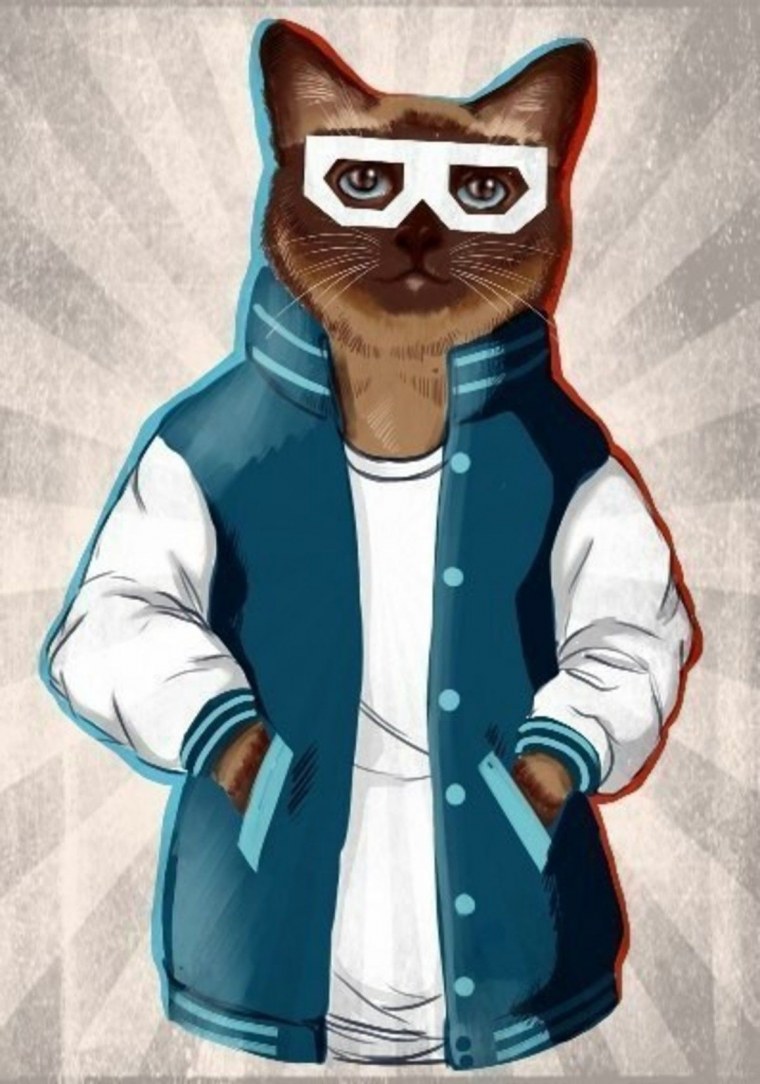 Черный кот в капюшоне