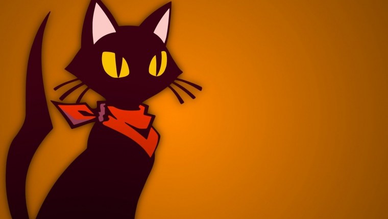 Кот в очках