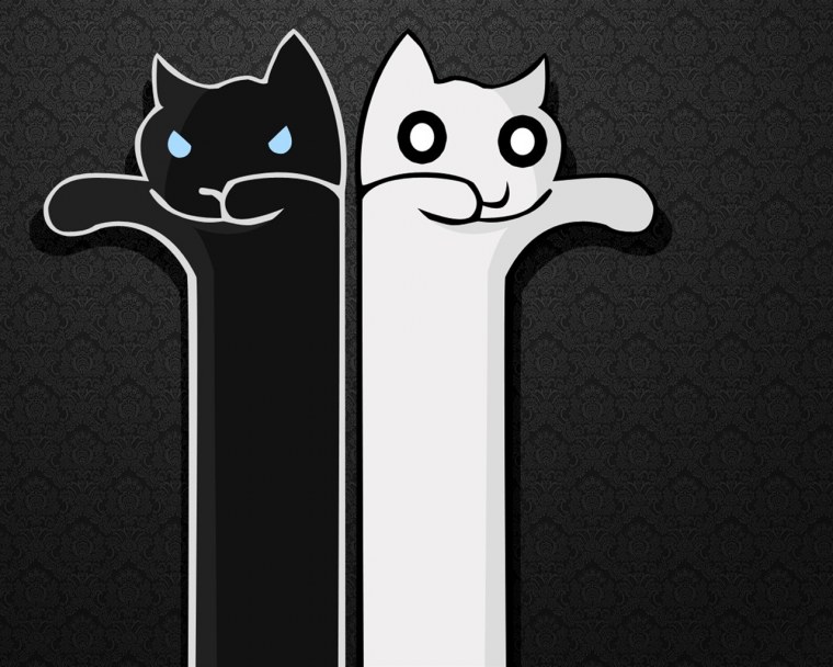 Обои на телефон котята милые