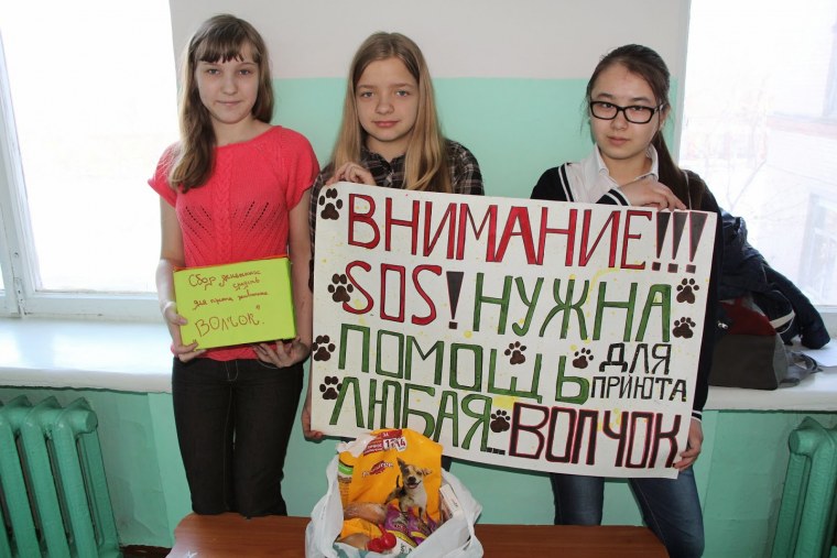 Классный руководитель надпись