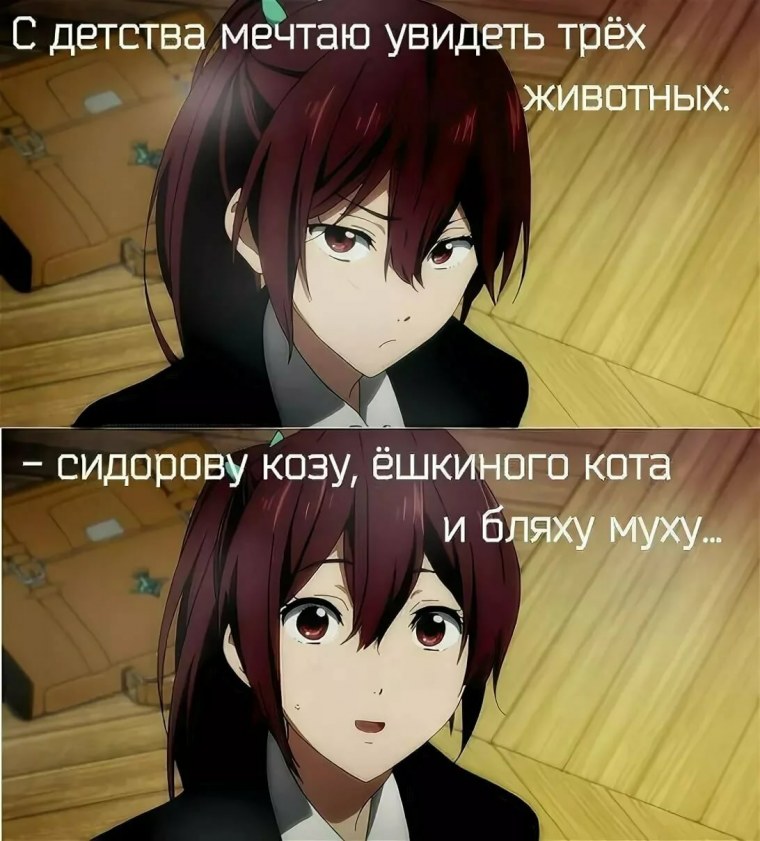 Смешные цитаты из аниме