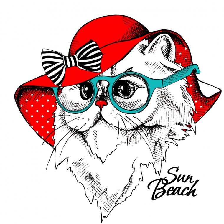 Коты в беретах