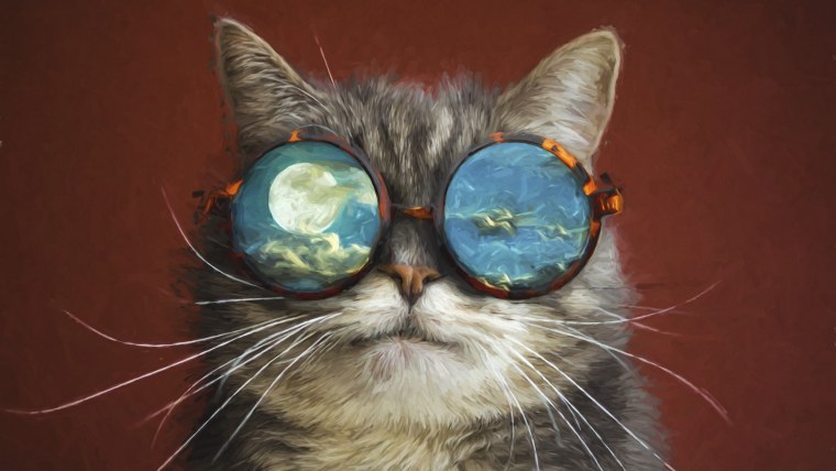 Кот в очках