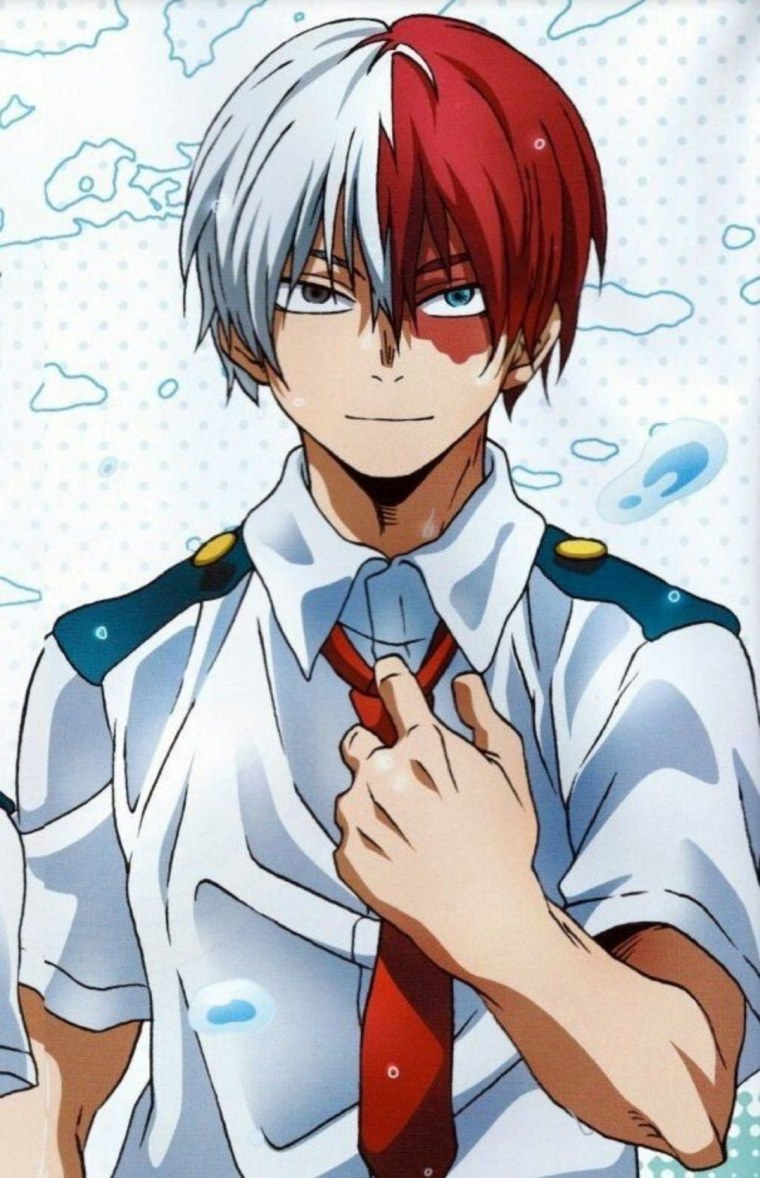 Рост Тодороки шото