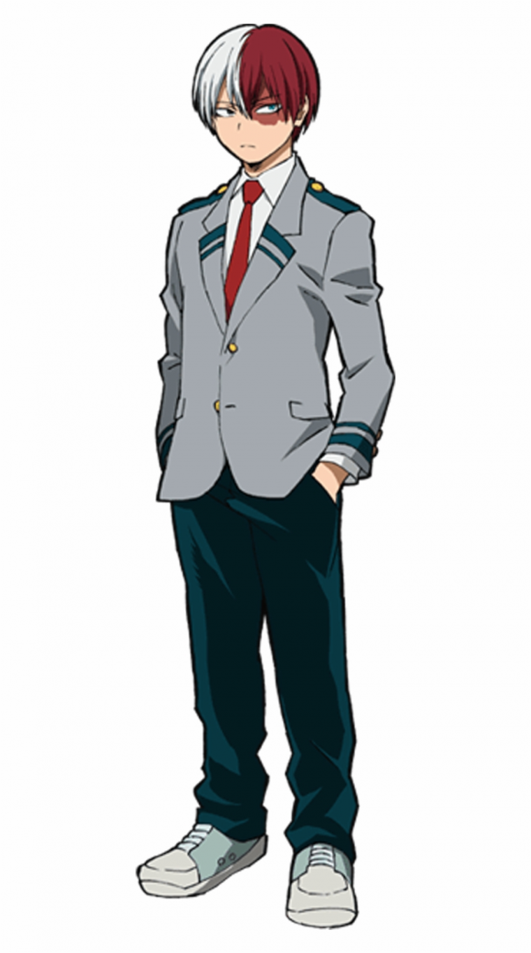 Худи с Тодороки шото