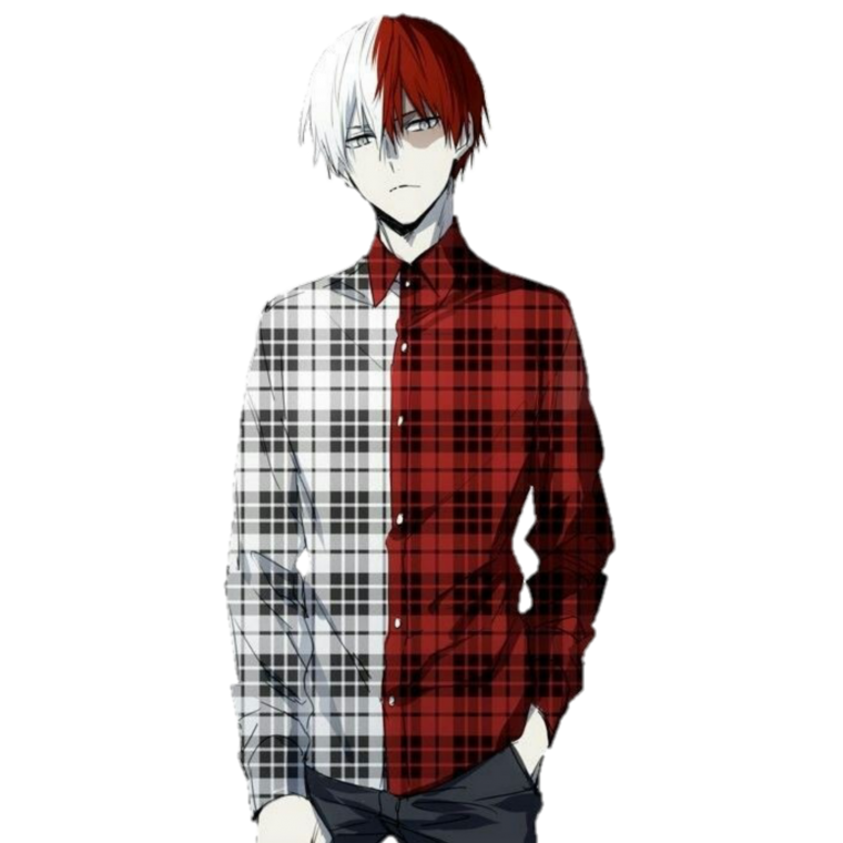 Тодороки шото кадры