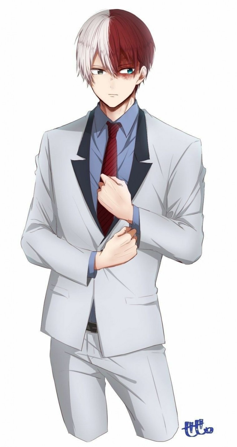 Шото Тодороки геройский костюм