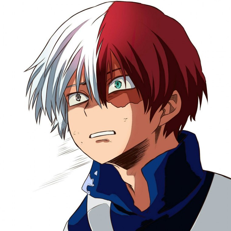 Тодороки шото в костюме