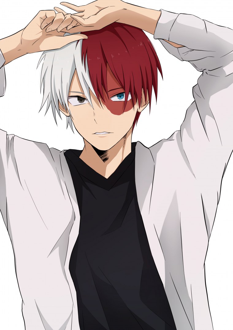 Фем Тодороки