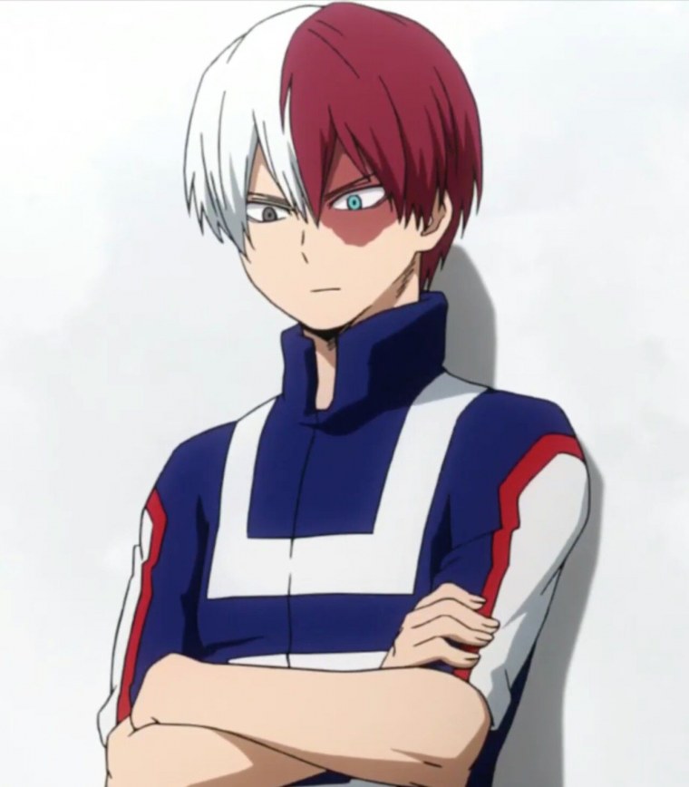 Моя геройская Академия шото в полный рост