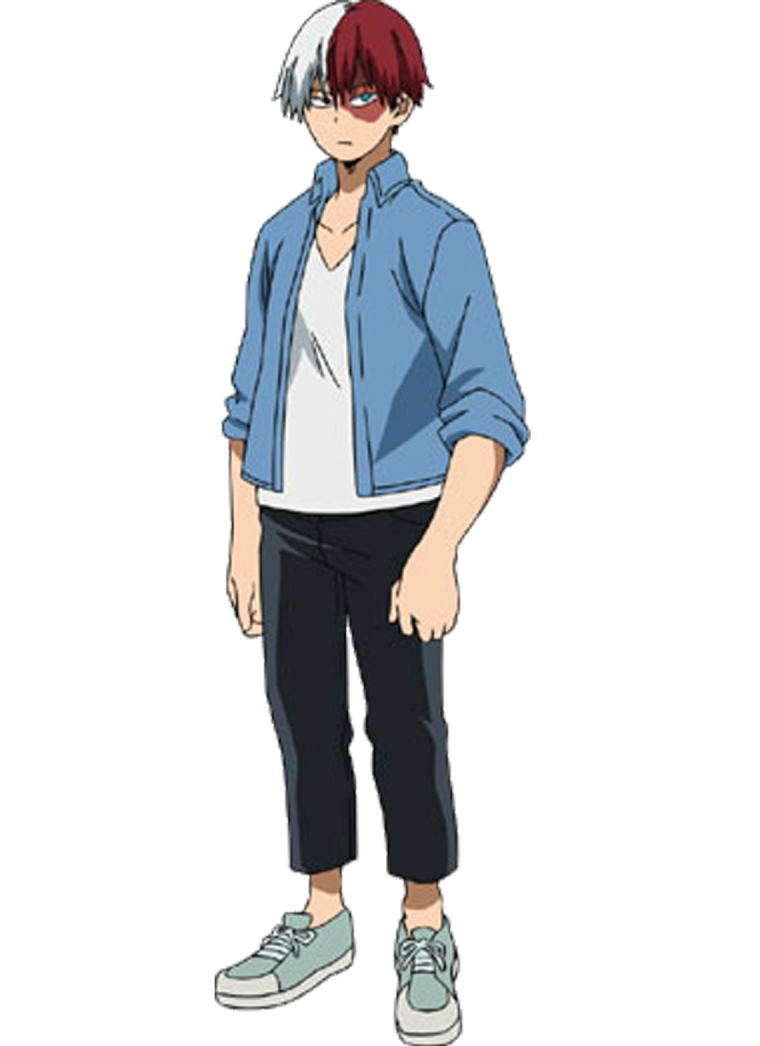 Тодороки шото в полный рос