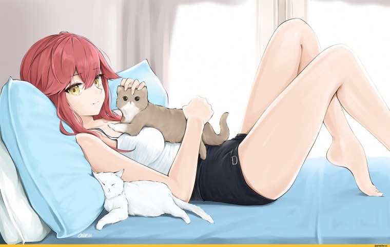 Элизабет пантсу