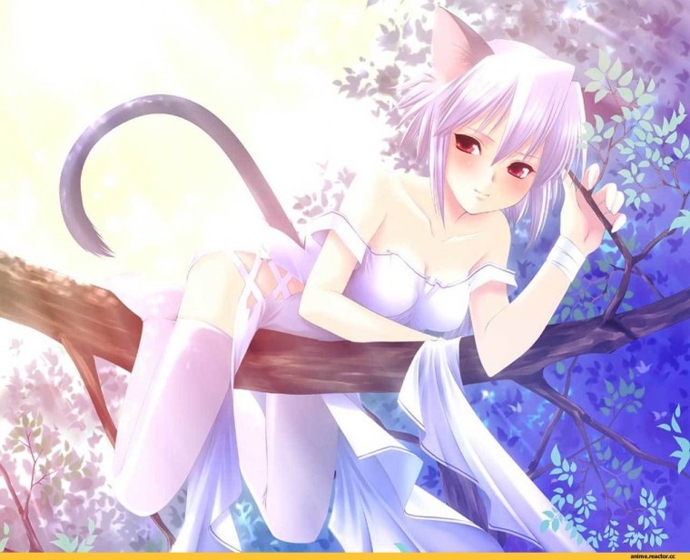 Милые панцу