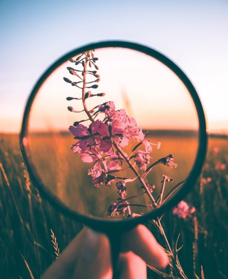 Эстетика прекрасного