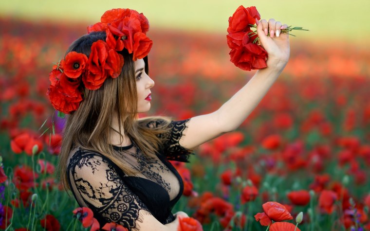 Природа горы цветы