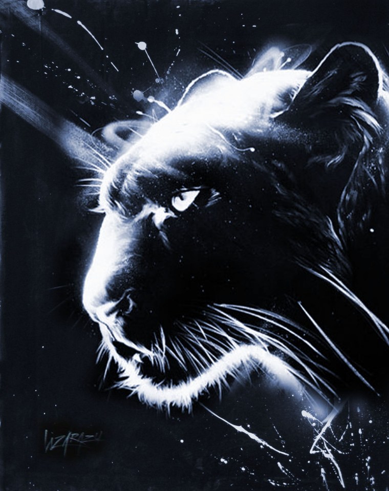 Черная пантера