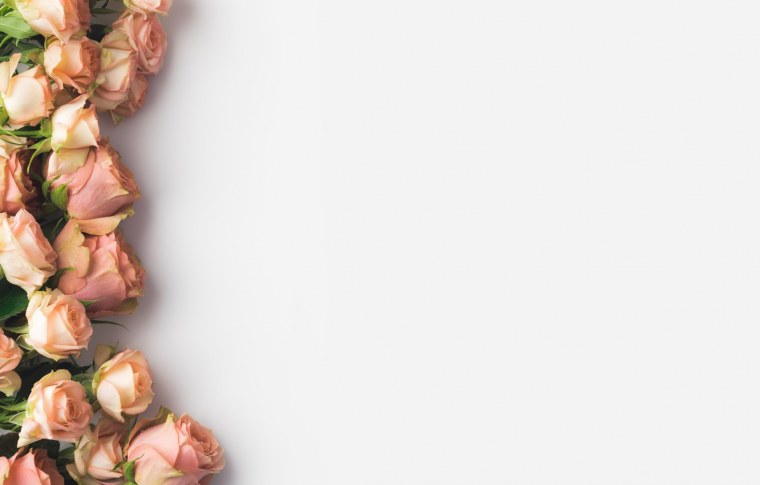 Фон с розами по бокам