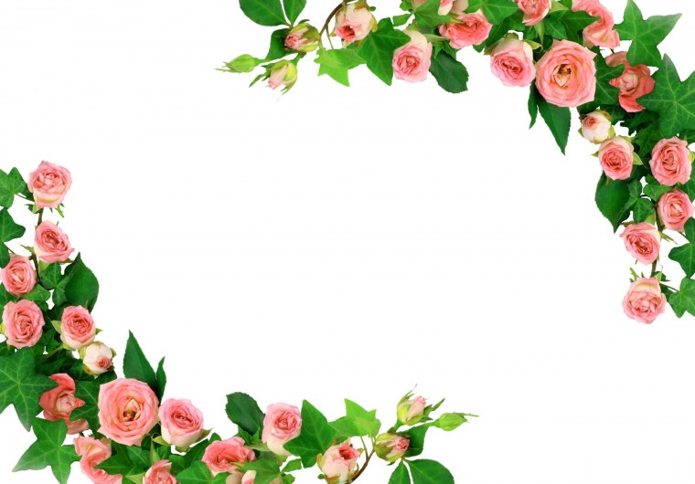 Цветы по краям