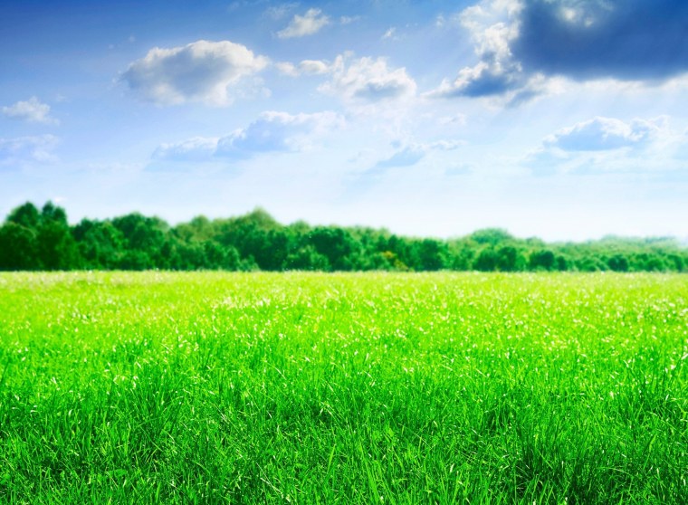 В чистом поле...