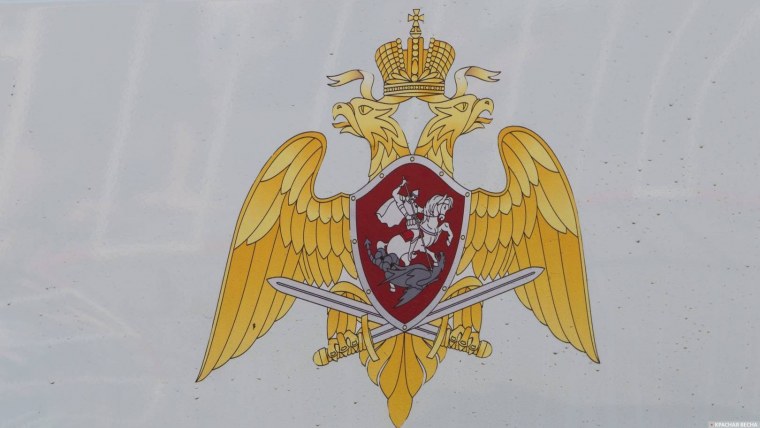 Флаг ВВ МВД России