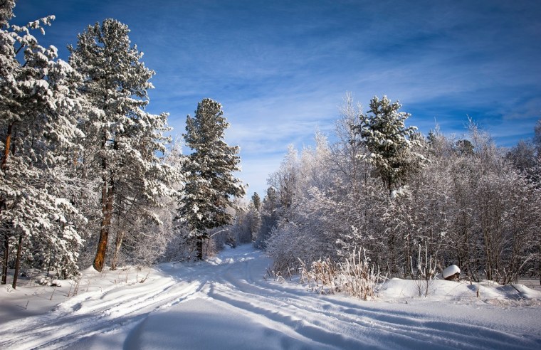 Декабрь пейзаж
