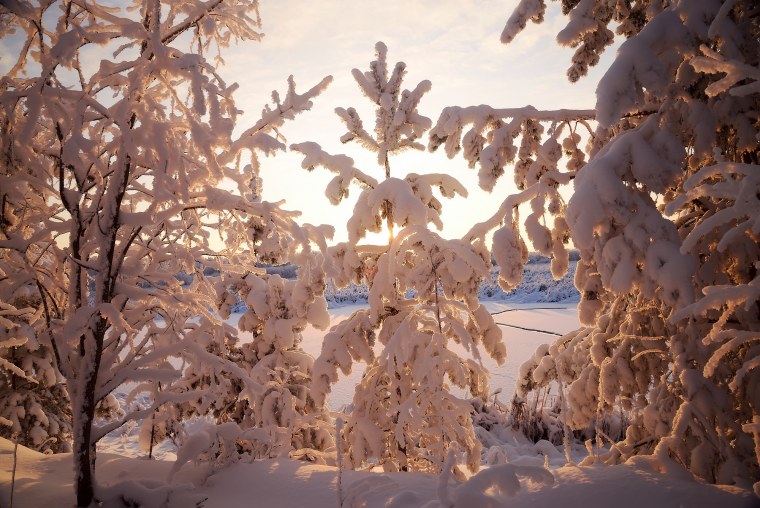 Снежная зима