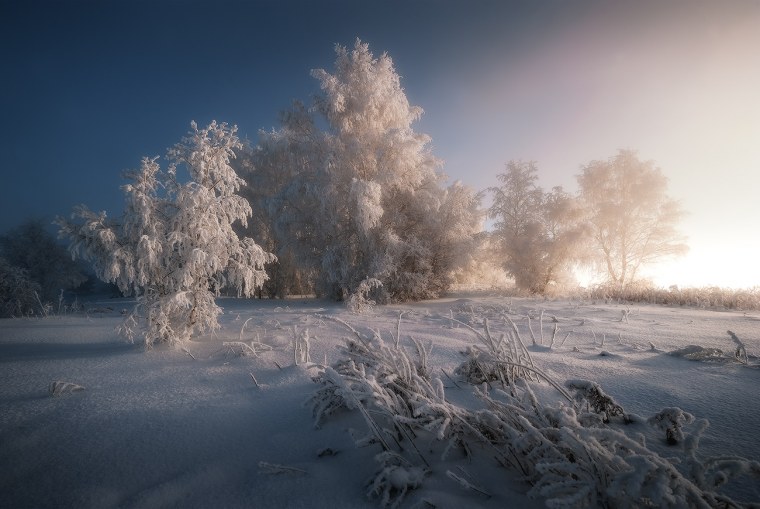 Декабрь пейзаж